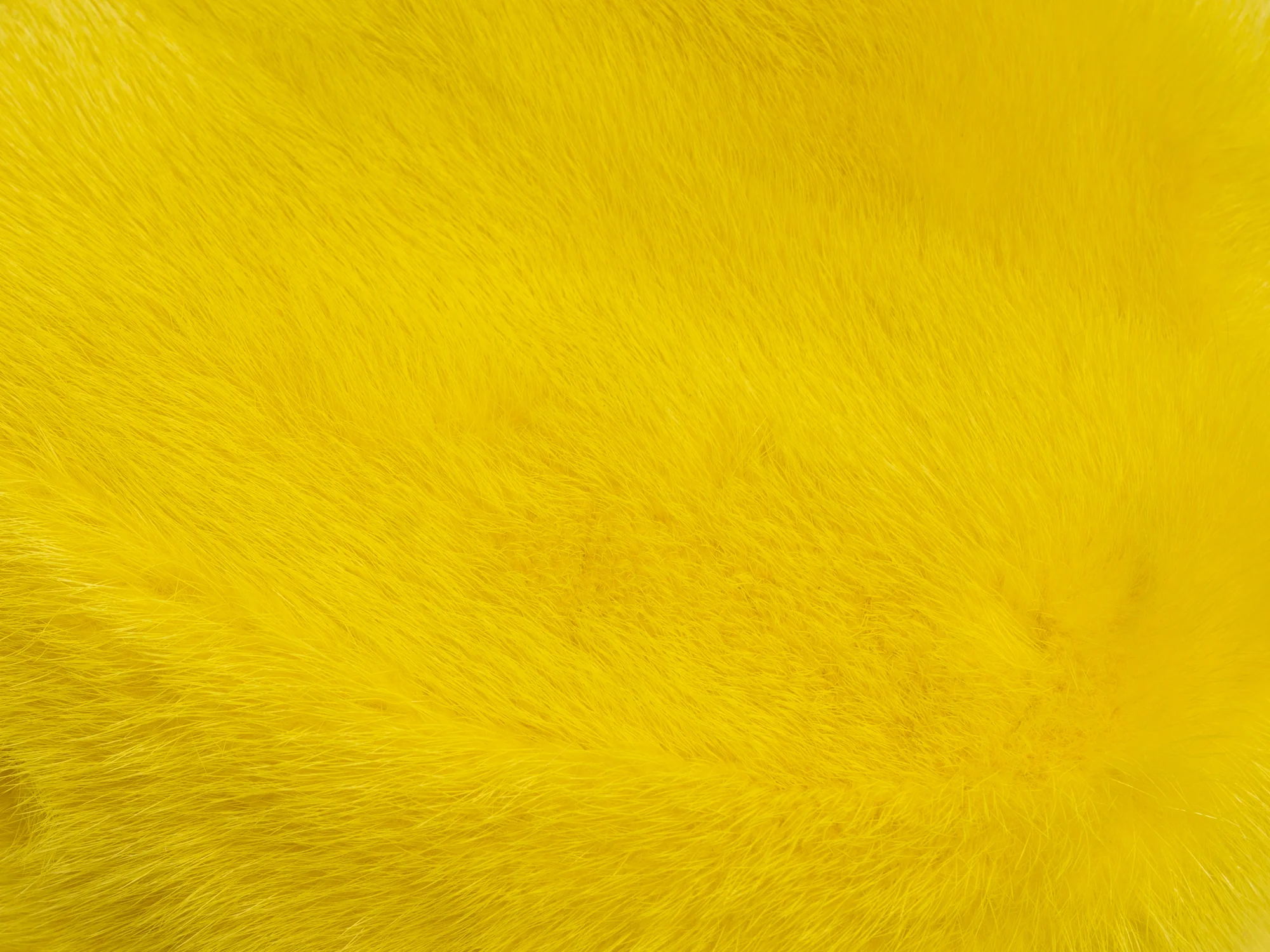 LIONE - Cappello Bucket in visone (Giallo) - Image 5